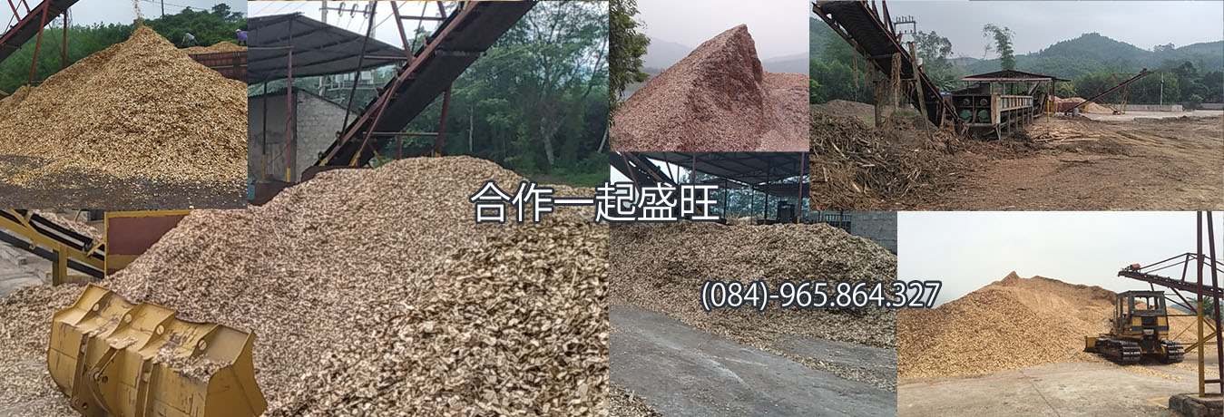 China Wood Chips